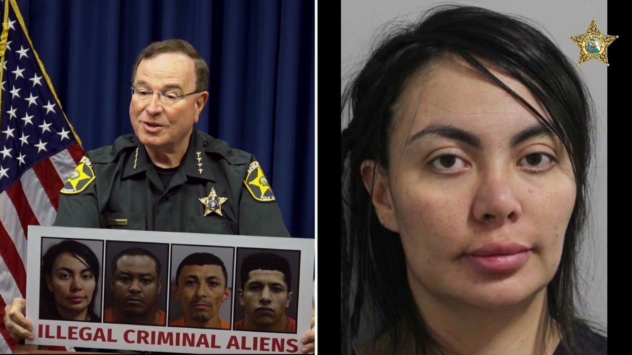 South American Theft Group (SATG) 08-15-2024