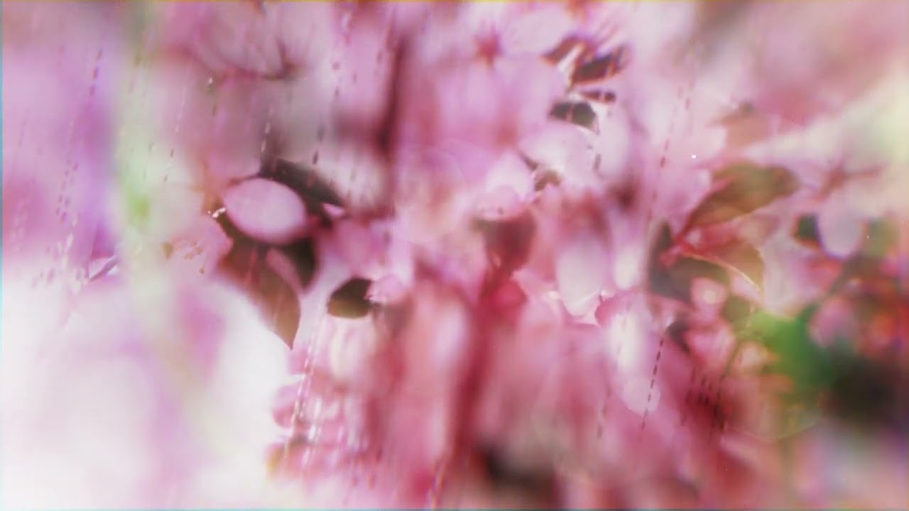 Mira Dawson Meier - Fields (Official Audio) en YouTube Mira Dawson Meier - Fields (Official Audio) en YouTube