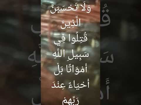 ولا تحسبن الذين قتلوا في سبيل الله امواتا 