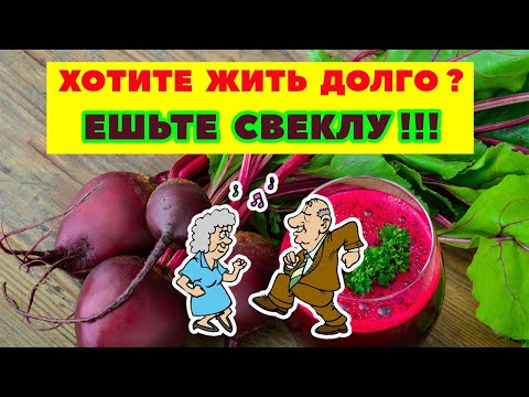 Польза свеклы для организма / Чем полезна свекла для здоровья /Свекла для печени