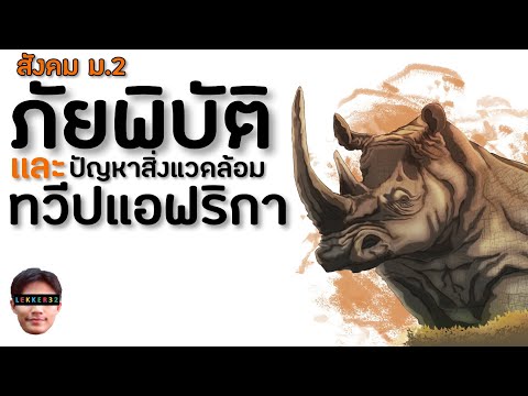 วีดีโอ: ปัญหาสิ่งแวดล้อมที่แอฟริกาใต้เผชิญคืออะไร?