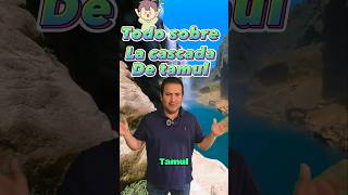Lo Que Tienes Que Saber Sobre La Cascada De Tamul En La Huasteca Potosina.
