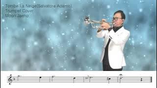 Tombe La Neige(Salvatore Adamo)Trumpet Cover Moon Jaeho