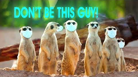COVID-19 Wear Your Mask - Meerkats Animation Video