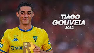 Tiago Gouveia - He Was Born to Dribble
