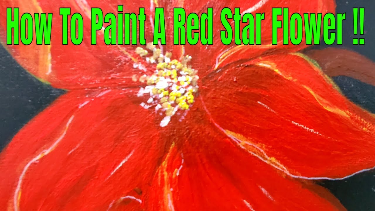 An Amazing Way To Paint A Red Star Flower 249 Acrylic Painting For an-amazing-way-to-paint-a-red-star-flower-249-acrylic-painting-for