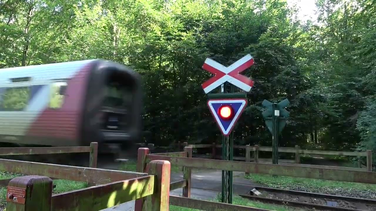 Jernbaneoverskæring uden bomme i Dianalund