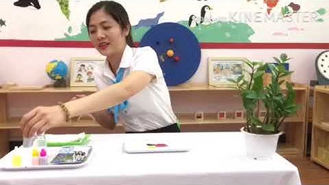 VIDEO SỐ 7: SỰ BÙNG NỔ CỦA SẮC MÀU/CHUỖI VIDEO ĐỒNG HÀNH Ở NHÀ CÙNG CON YÊU