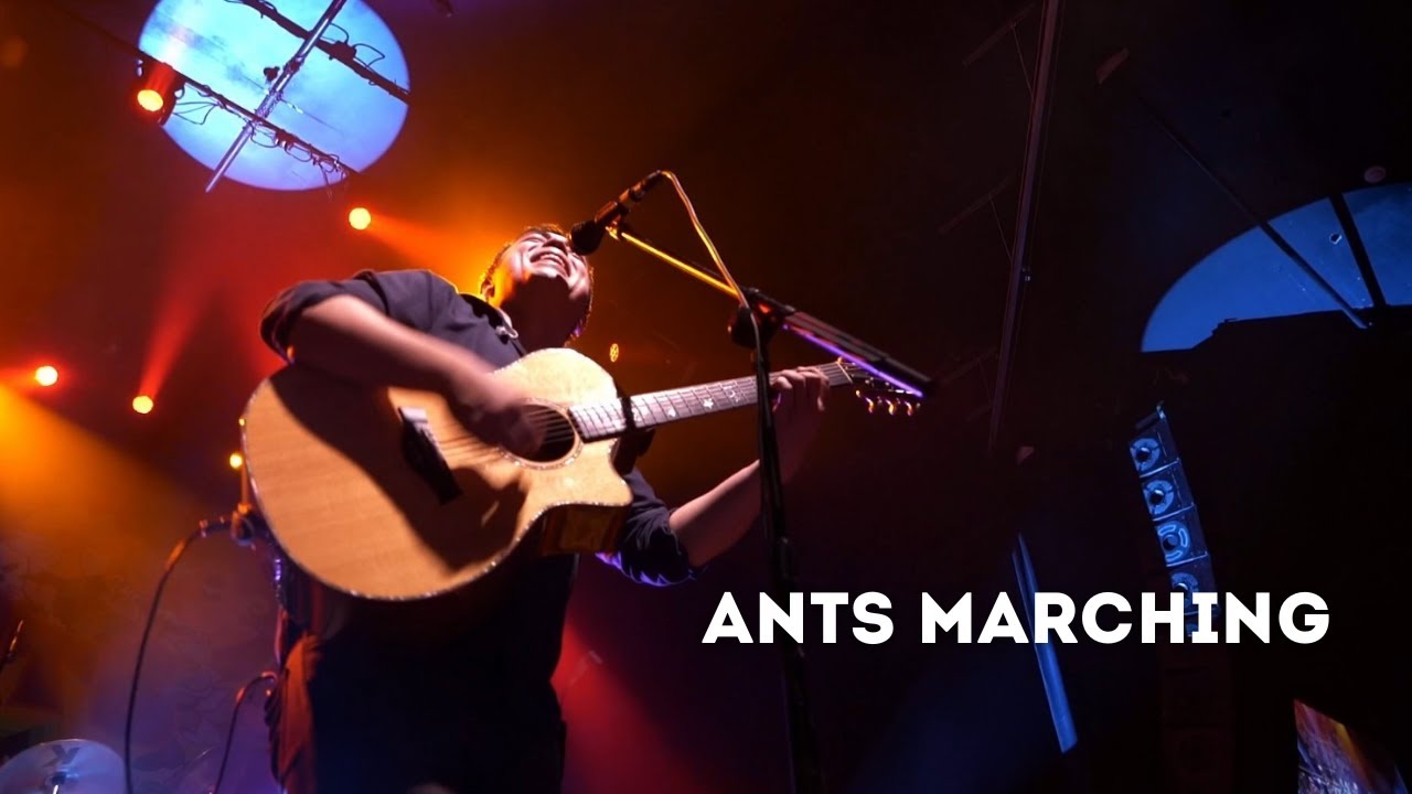 Ants Marching | 2/15/25 | Buffalo, NY