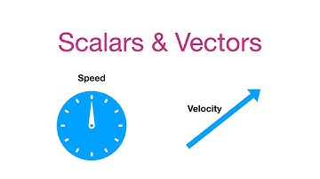 Lecture 11: Scalars and Vectors