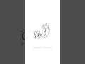 Cat Vs Human Funny Animation