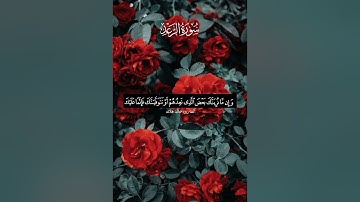 القارئ خالد فلاته 🤍 #قران_كريم_ارح_سمعك_وقلبك #قران_كريم