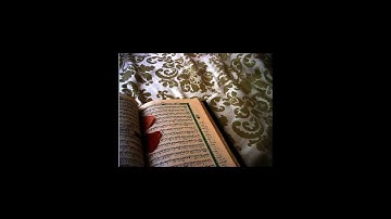 ماتيسر من سورة النساء للقارئ أحمد الرباعي
