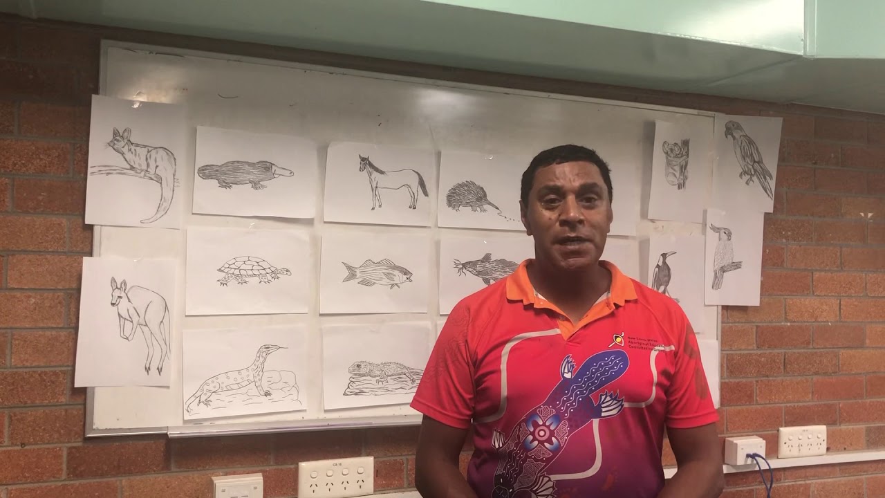 Animals in Bundjalung Language