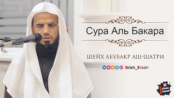 Абу Бакр Аш Шатри Сура Аль Бакара #2 ❘ Abu Baker Al Shatiri  Al-Baqarah