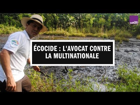 reportages francais Écocide en Amazonie : l'avocat contre la multinationale