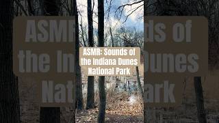 ASMR SOUNDS OF NATURE! #ASMR #indianadunes #nationalpark #nature #outside #stopandsmelltheroses
