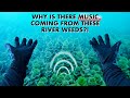 I heard music coming from these river weeds underwater then found its source