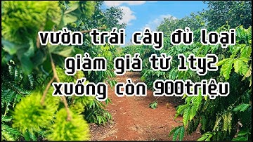 lãi xuất ngân hàng quá cao buột lòng giảm giá bán vườn trái cây ở bà rịa vũng tàu