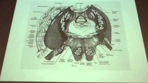 BME 365R Lecture 10.20.2015