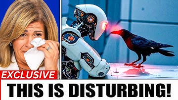 AI Just Decoded Crow Speech — What They’re Saying About Us Is Shocking