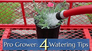 Professional Watering Tips: Plants in Pots & Containers