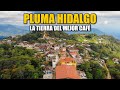 Video de Pluma Hidalgo