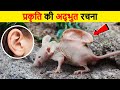 जानवरों के सबसे चौंकाने वाले म्यूटेशंस | Most shocking animal mutations | Animal mutations