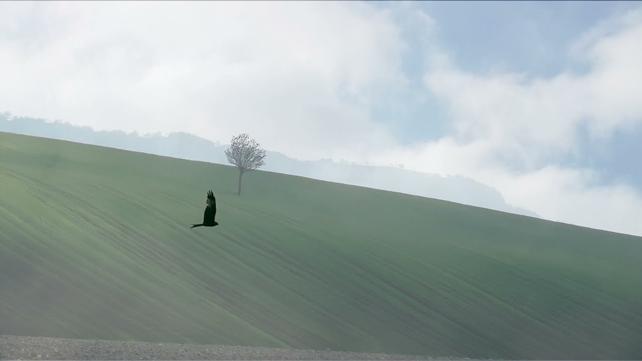 Rutas imprescindibles Navarra ⛰ Gastiáin Valle de Lana montes Irasabela, Artxueta, Otzamendi, Arnaba