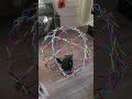 Cats are troublemakers 😂 | Funny cats and animals videos ep24 #cat #shorts #funnycats #catvideos