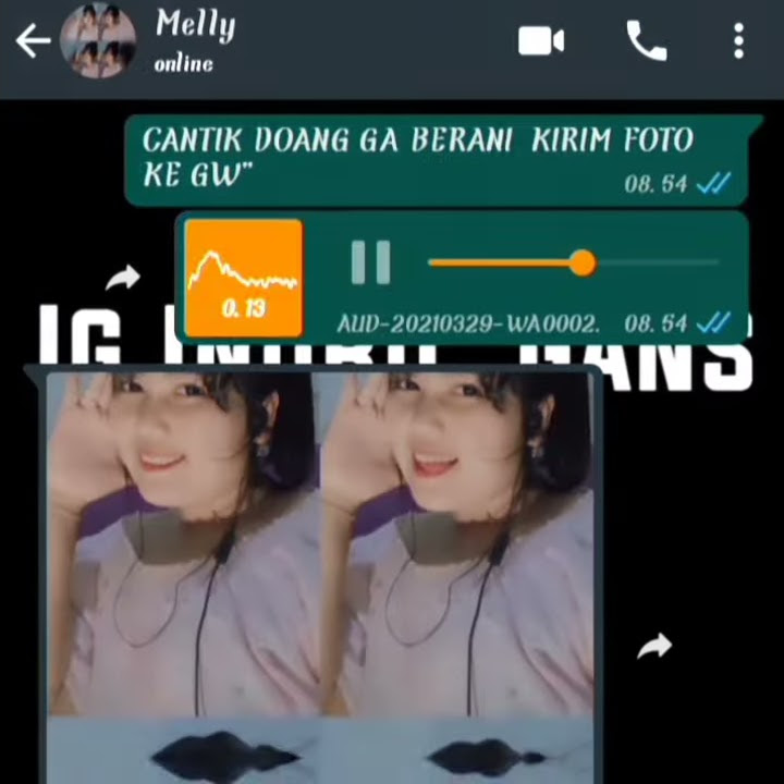 Preset Alight Montion Chat WA😁CANTIK DOANG GA BERANI NGIRIM FOTO KE GW 😊