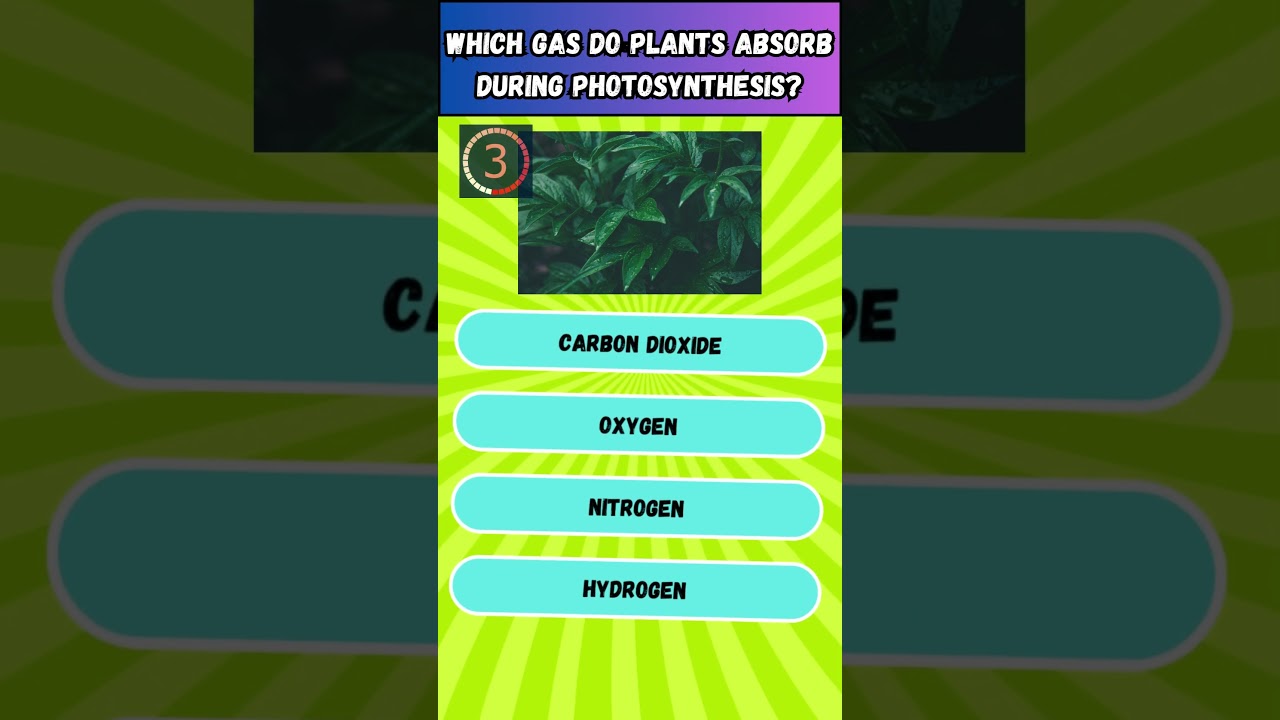 Can You Solve This BioQuiz Riddle about photosynthesis 