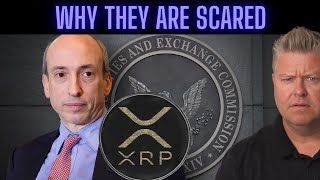 Latest XRP Ripple News Today (SEC Shreds Ultimatum)