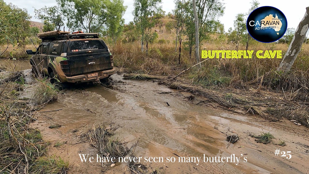 You won't believe it until you see it Butterfly cave - YouTube