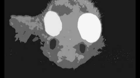 Schopclip Lanvin "Mouse Victim" The Ultimate Desire