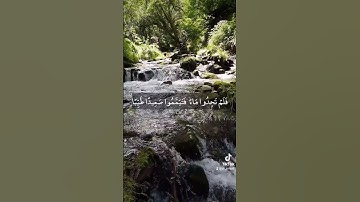 تلاوة رائعة - سورة المائدة الآية ٦