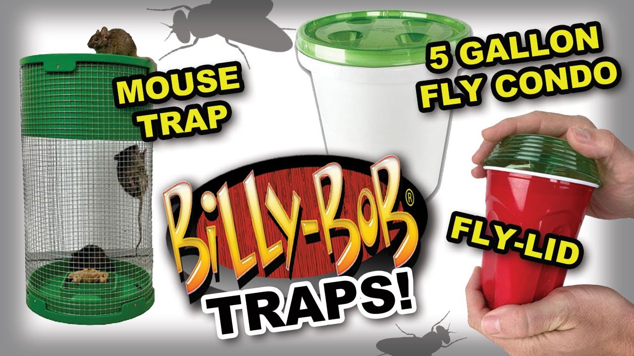 Mouse Trap - Billy Bob