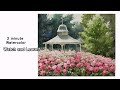 [ 3 minute Watercolor - Watch and Learn ] Rose Garden.  NAMIL ART