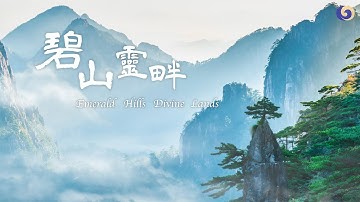 1 Hour Finding Simplicity Through a Journey of the Majestic Emerald Hills ｜Musical Moments