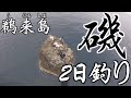 【鵜来島の2日釣り】大人気の磯に上がるにはコレを見て!