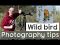 Wild bird photography tips at a local nature reserve