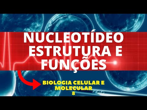 Vídeo: Quais são os quatro nucleotídeos que constituem o DNA?