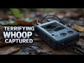 bigfoot whoop captured seconds after terrifying scream