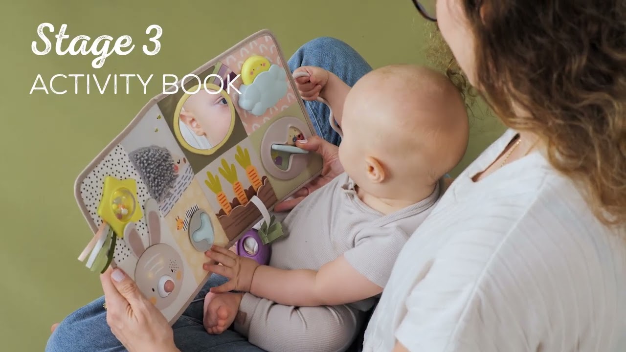 Taf toys Developmental Activity Center