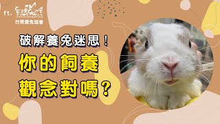 新手養兔子須知：兔子會臭？可以洗澡？怎麼抱兔子？兔子吃什麼草？ft.台灣愛兔協會