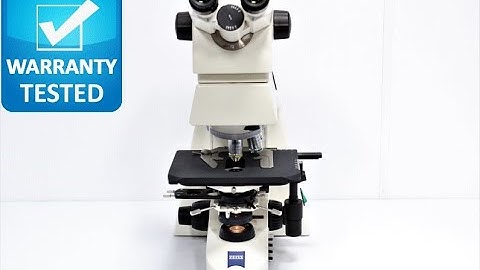 Zeiss Axioskop 40 Phase Contrast Microscope [BOSTONIND] - 31873
