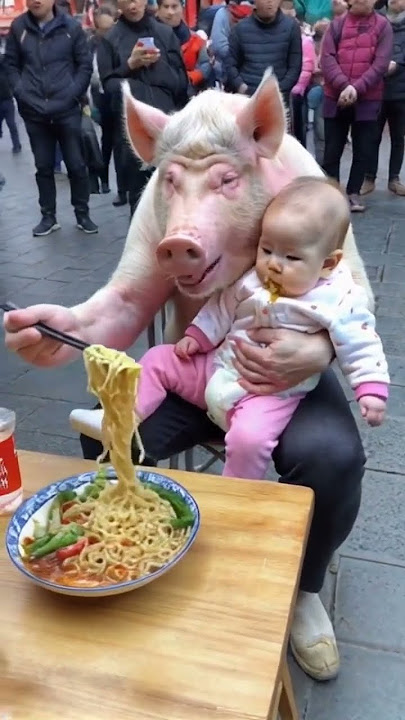 The way a pig eats is so clever. I laugh every time I watch it.
