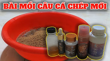 CHIA SẺ BÀI MỒI CÂU CÁ CHÉP MỚI HỒ DỊCH VỤ QUẤN Ổ CHI TIẾT #02 - Câu Cá và Cuộc Sống