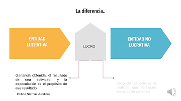 ¿Qué es una entidad y empresa?