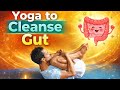 Yoga to Cleanse Gut | @yogaandfitnesswithshiva #yoga #foryou #yogaexercise #yogaposes #motivation 